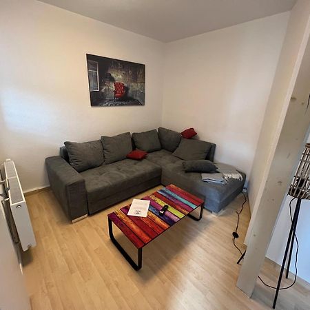 Apartment Napoleon, Naehe Zentrum, 2 Schlafzimmer, Grosser Balkon, Free Wifi ,Parken 예나 외부 사진